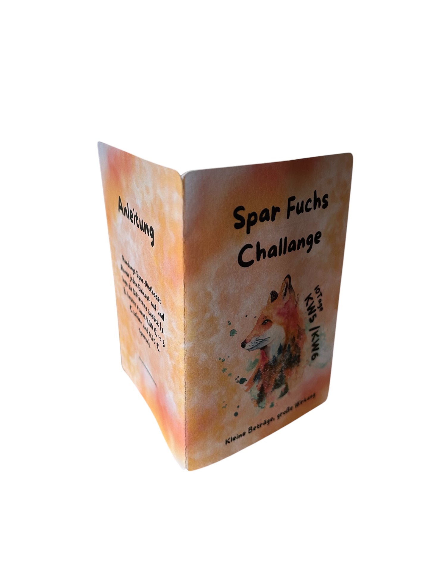 Jahres Spar Challenge