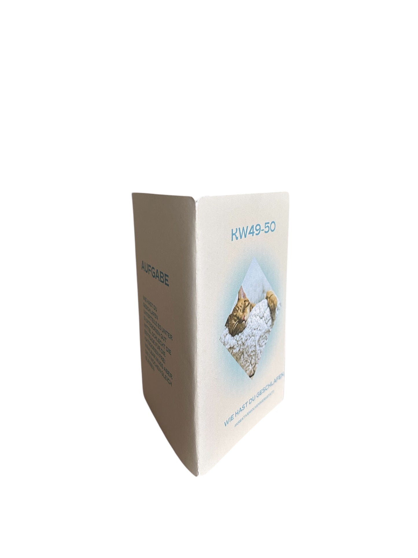 Jahres Spar Challenge