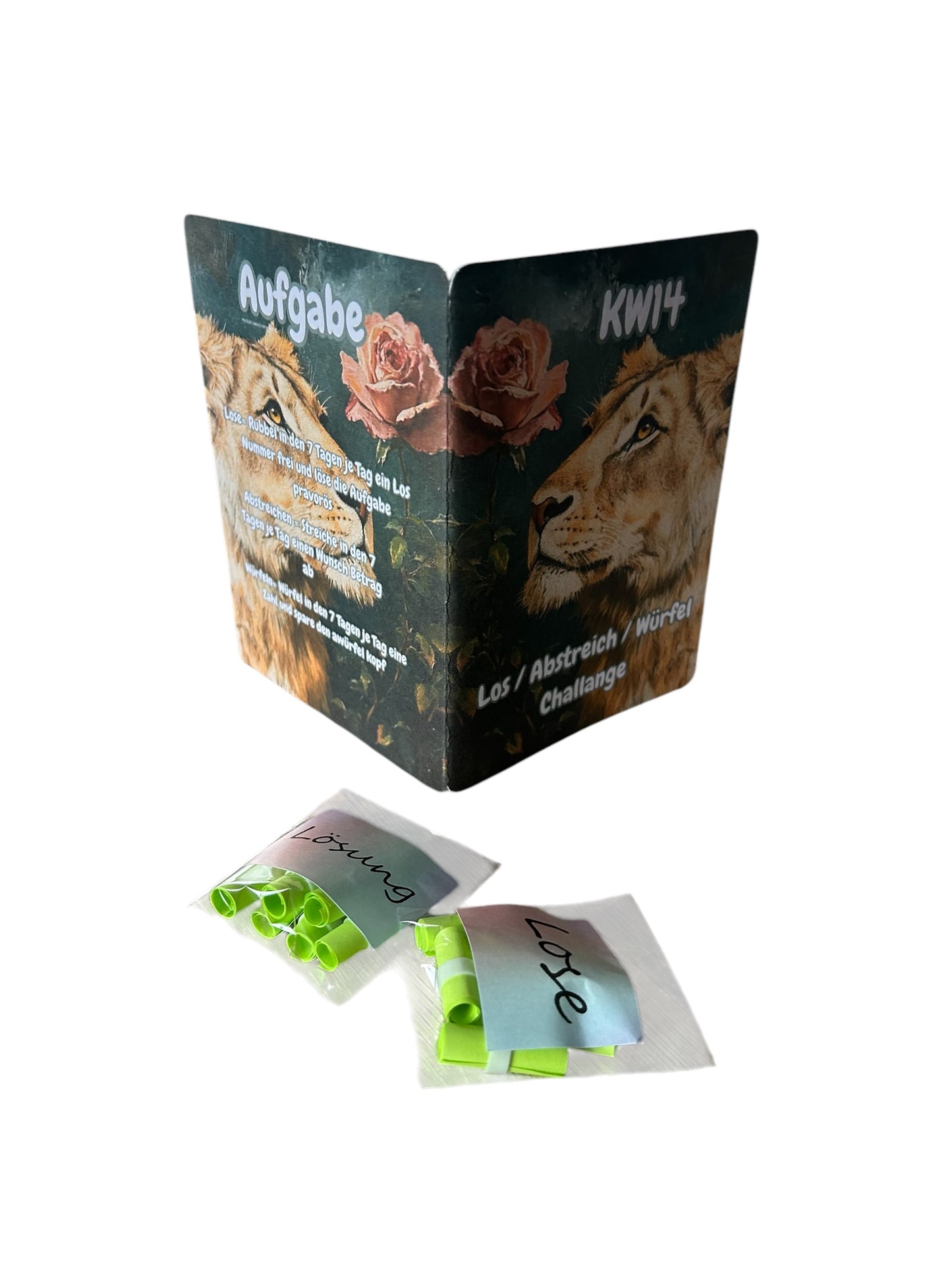 Jahres Spar Challenge
