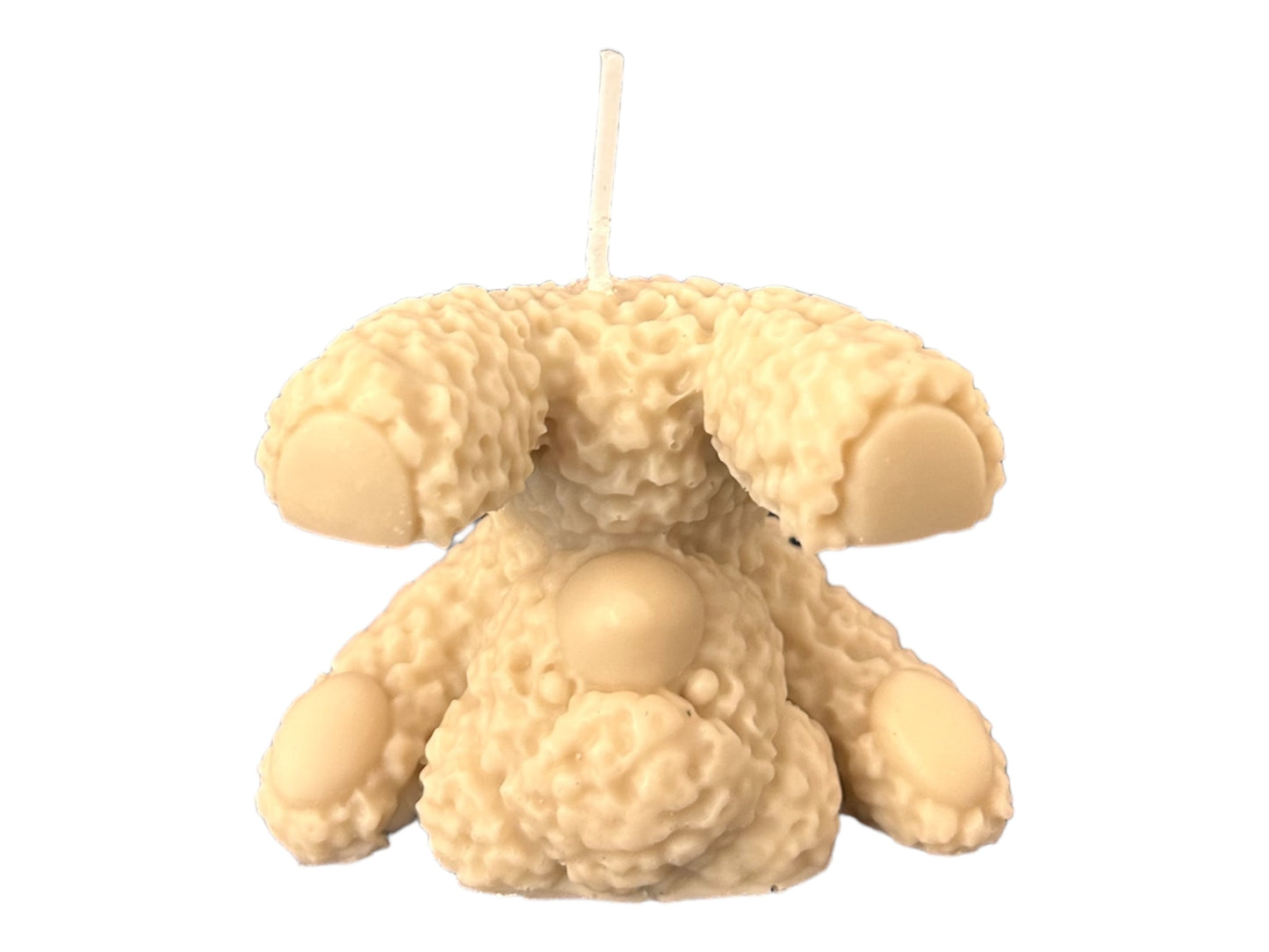 Kopfsteh Teddy