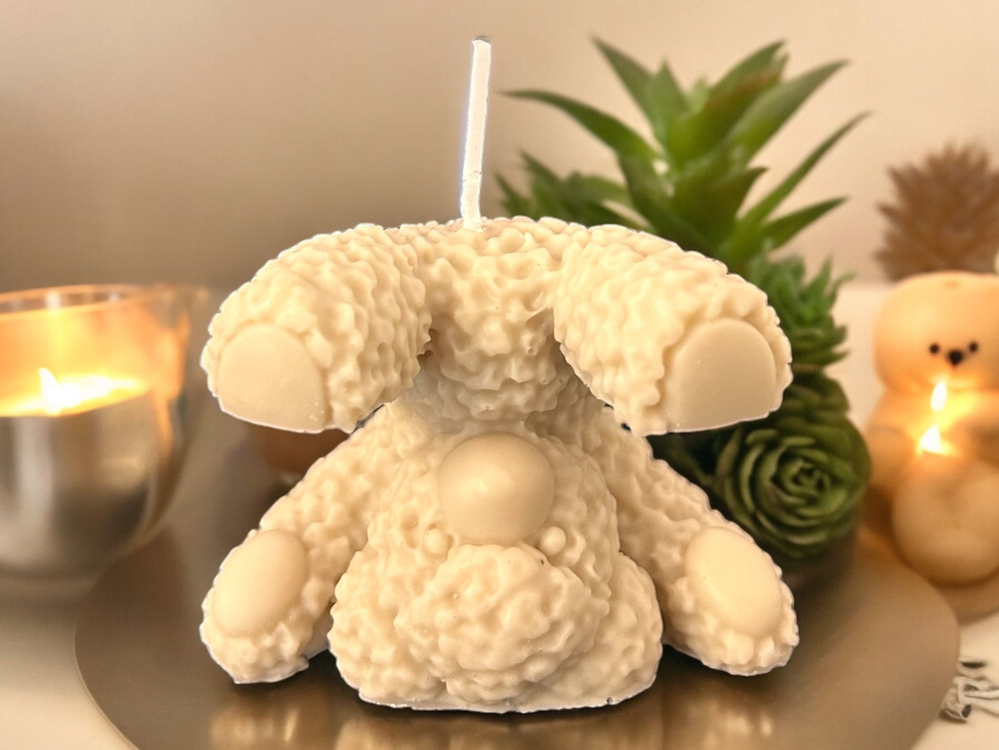 Kopfsteh Teddy