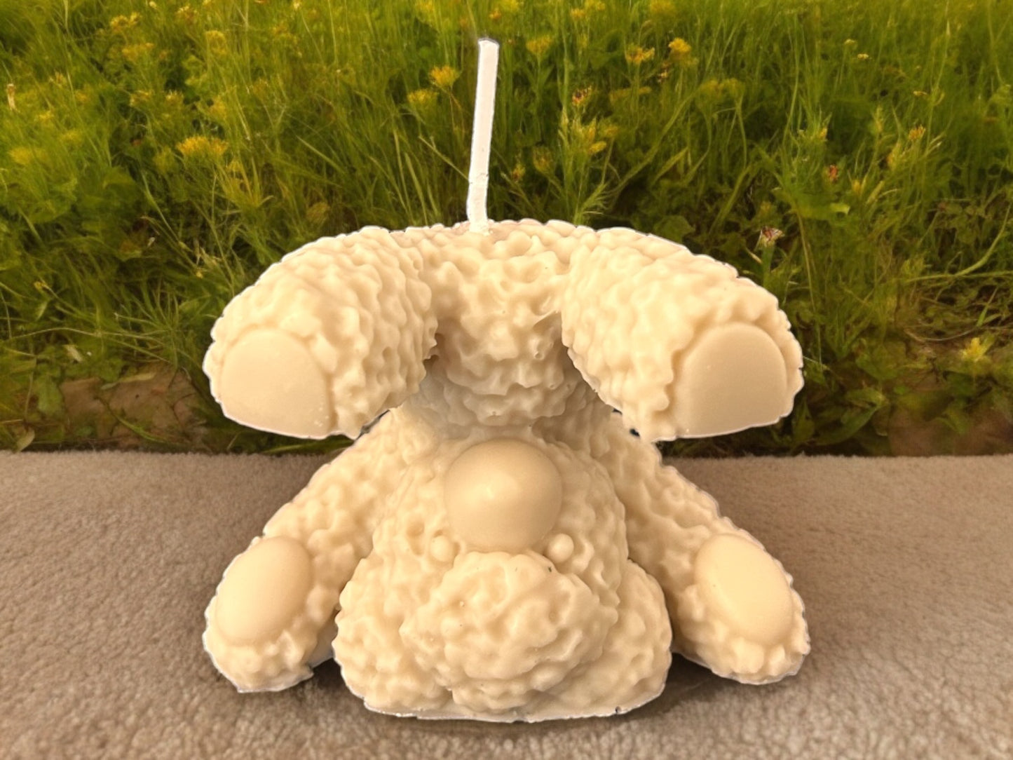 Kopfsteh Teddy